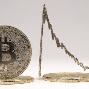 Experte Crypto Rover: Bitcoin wird crashen!