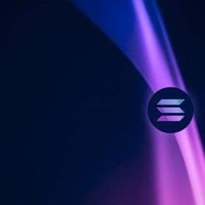 Solana Jitters Don’t Scare Whales As They Persistently Load Up On SOL – A Rally Ahead?