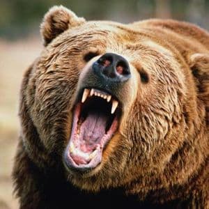 Strategy’s Bitcoin Position Is Bear-Proof, Analyst Says
