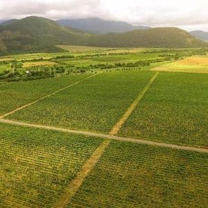 Georgia Secures $100M Partnership to Advance Tokenized Real‑World Asset (RWA) Agriculture