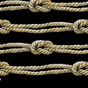 From Peak to Plunge: Bitcoin Knots Loses Nearly a Third of Its Nodes Since Sept. 14