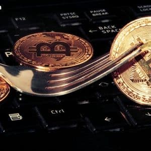 Knots Developer Luke Dashjr Plans Hard Fork To ‘Save Bitcoin’