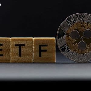 Cyber Hornet ETF Filing Flags Whale Manipulation Risk in XRP