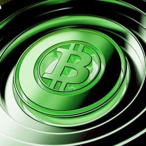 Bitcoin and Ether ETFs Extend Recovery With $557 Million in Inflows