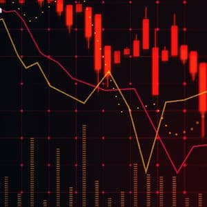 Surviving the Crash: XBO.com Founder Urges Discipline in Volatile Crypto Markets