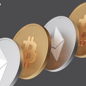 Bitcoin and Ether ETFs Rebound With $339 Million in Inflows