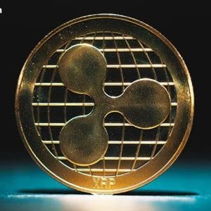 Ripple Expands in Africa as Institutional Demand for Digital Custody Surges