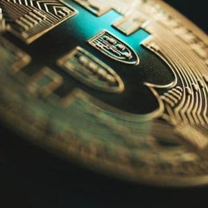 Bitcoin Sees Historic Institutional Uptake With 40% Rise in Public Company Holders