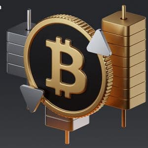 Bitwise CIO: Bitcoin’s Sideways Phase Signals the End of 1% Allocations