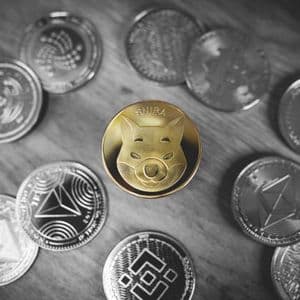 Shiba Inu Sees 300% Surge In This Major Metric, Is The Bottom In?