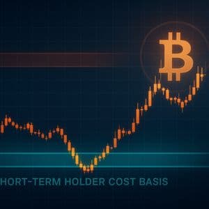 Bitcoin Finds Support At Short-Term Holder Cost Basis, But For How Long?