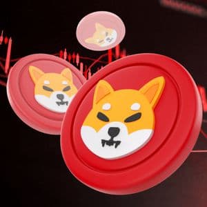 Shiba Inu Price Forms Double Bottom At Demand Zone — What To Expect