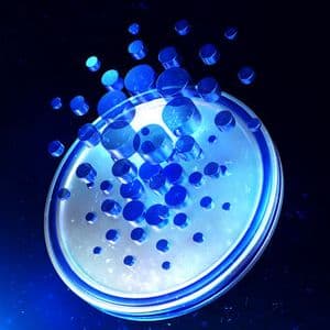 Cardano Founder Says Chainlink Quoted Them An ‘Absurd Price’, Here’s Why