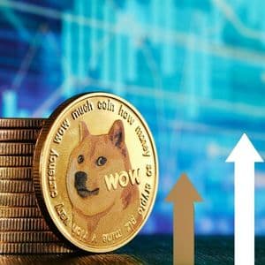 Expert Crypto Trader Says Dogecoin Price Looks ‘Very Good’, Here’s Why