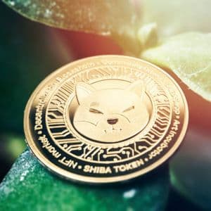 Shiba Inu Price In Trouble? SHIB Team Goes After Attackers After Major Bridge Compromise