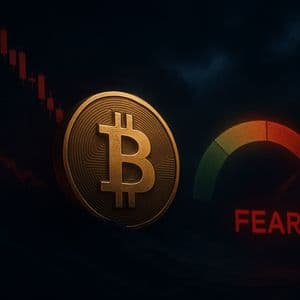 Bitcoin Fear & Greed Index Signals ‘Fear’ As Price Falls To $112,000