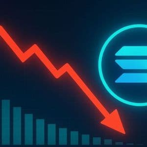 Solana Network Activity Drops 50%: Is The Rally Built On Weak Fundamentals?