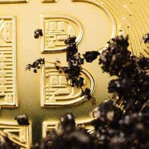 16,000 Ancient Bitcoins Just Moved—And It’s Costing Whales Billions