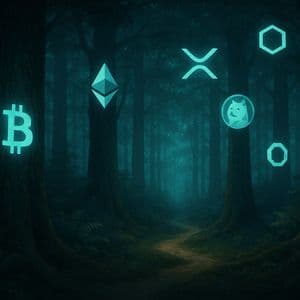 Is The Crypto Bull Run Over? Lekker Capital CIO Warns ‘Don’t Miss The Forest’