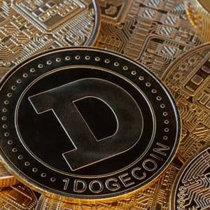 Dogecoin Whales Are Offloading Hundreds Of Millions Of DOGE, Here Are The Facts