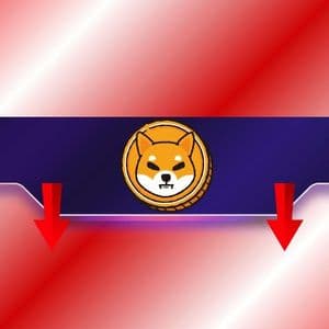 This Shiba Inu (SHIB) Metric Drops to a Multi-Month Low: More Pain Ahead?