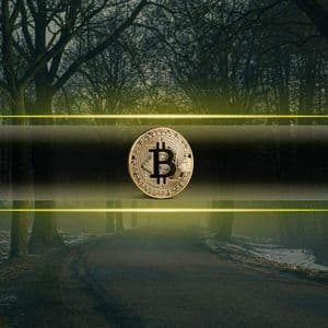 Will Bitcoin Hold the Line? Analysts Highlight the Most Critical Support Levels