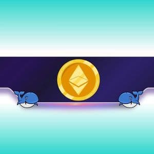 260,000 ETH Snapped Up by Whales in 24H: Is a Rally Brewing?