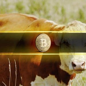 Bitcoin Bull Market Ending in 50 Days, Says Analyst