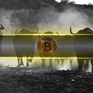 Think Bitcoin’s Bull Run Is Over? Here’s Why the Peak Isn’t In Yet