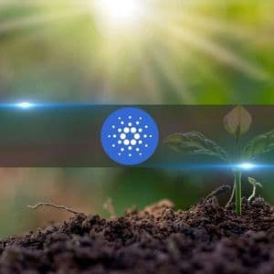 $0.84 Barrier Crushed: Experts Say Cardano (ADA) Could Be Just Getting Started