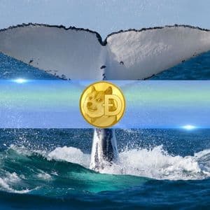 How Are DOGE Whales Reacting to Possible Dogecoin ETF? Santiment Weighs In