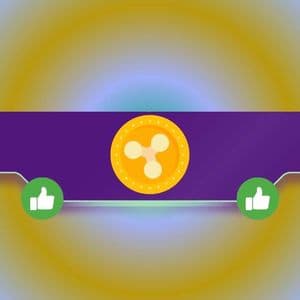 RLUSD Yes, XRP No: Why Is This Ripple Partner Choosing Only the Stablecoin?