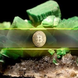 Bitcoin Addresses That Only Buy and Never Sell Just Hit Record Levels