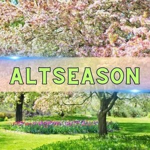 Crypto Market Cap Tops $4T as Altseason Indicators Flash Green