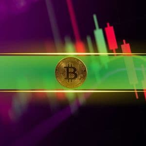Meme Coins on Fire as Bitcoin Price Flirts With $116K: Weekend Watch