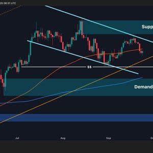 Bitcoin Price Analysis: Will BTC Drop Below $110K This Week?