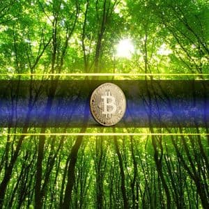 Bitcoin Smashes Weekly Inflow Records with $3.55 Billion Surge