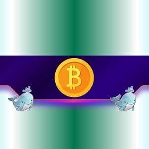 60,000 BTC Bought by Whales in 7 Days: Will Bitcoin Pump or Dump?