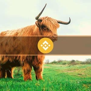 Binance Coin (BNB) Flips Ripple (XRP) Following Record-Breaking Price Surge