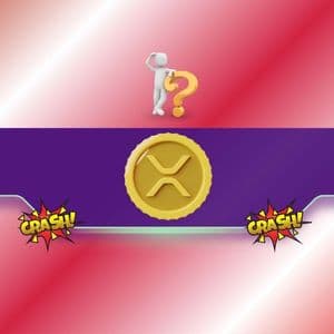 What Happened to XRP as Half of Its Value Disappeared During the Crash?