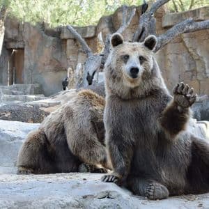 Why Altcoins Are Struggling and Investors Are Feeling the Pressure