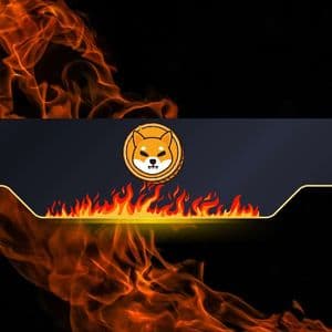 Shiba Inu Burn Rate Explodes by 88,000%: SHIB Price Surge to Follow?