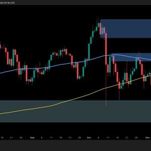 Bitcoin Price Analysis: Bearish Signs Emerge as BTC Breaks Below Crucial Support