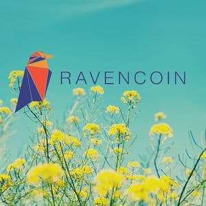 Ravencoin Price Prediction 2025-2031: Can RVN reach $10?
