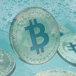 Binance, Tether, others seize almost $50 million connected to pig butchering scam