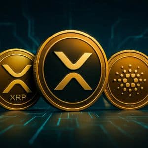 XRP Price Support Fails At $3 As Buying Remittix Now Is Like Buying XRP When It Was $0.02