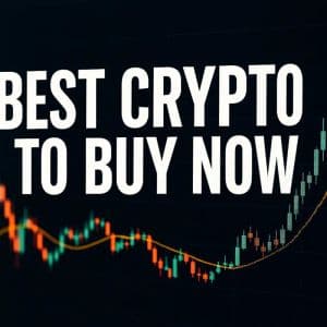 Remittix, Dogecoin And Cardano Are Backed By Experts As The Best Altcoins To Buy Now For Maximum Profit
