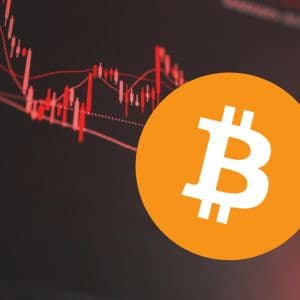 Bitcoin futures are cooling as whale participation declines
