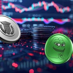 Top Crypto Coins to Invest in Before Q4 Market Pump