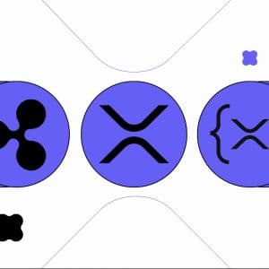 Ripple vs. XRP vs. XRP Ledger: What’s the Difference?